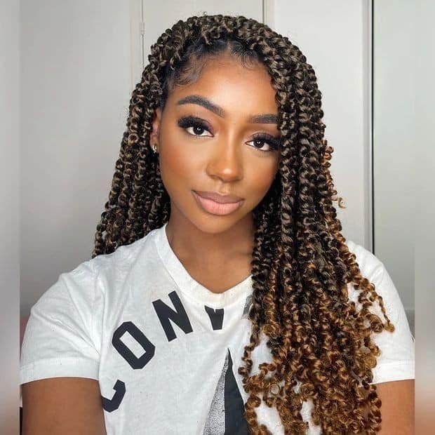 ( US ONLY) FAST SHIPPING NB | ToyoTress Tiana Passion Twist Hair - Pre-twisted Crochet Braids Natural Black, Pre-looped Synthetic Braiding Hair Extensions